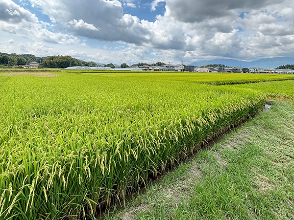 地元農家さんと連携した移動型農業をスタート