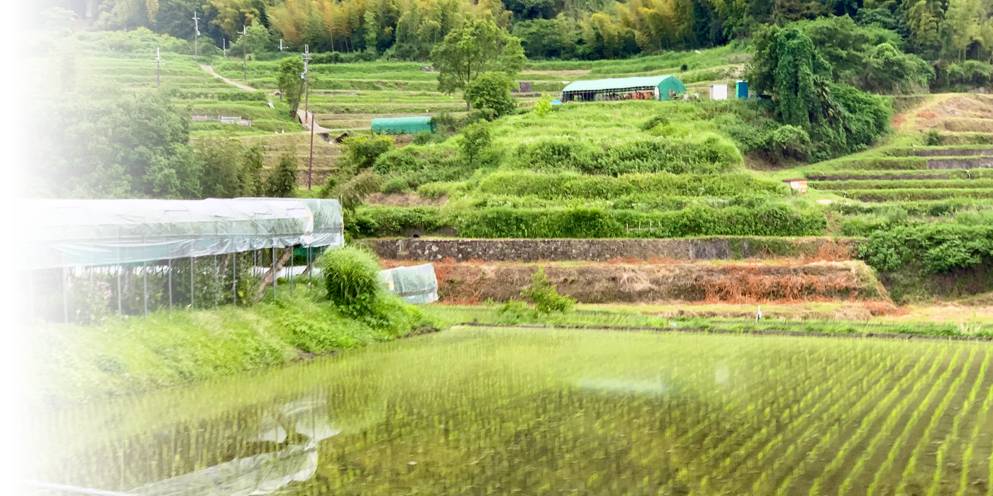 明日香の風土を大切に