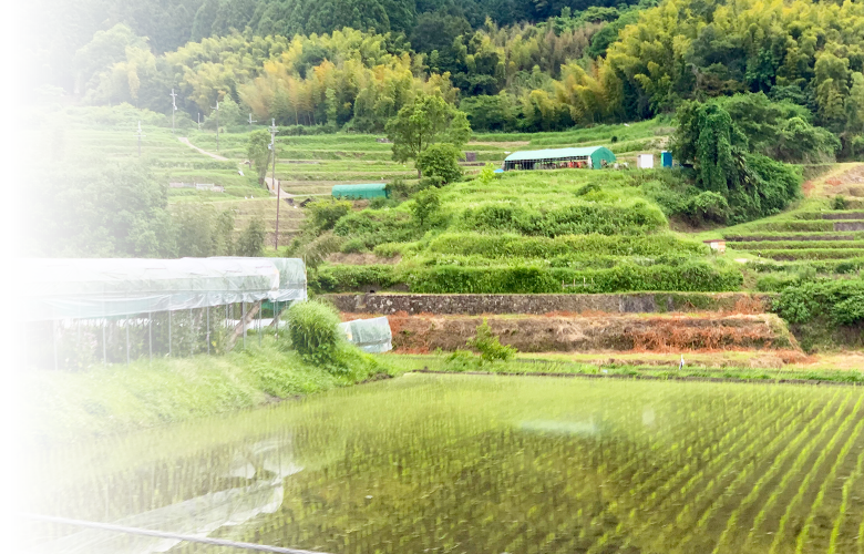 明日香の風土を大切に